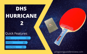 Dhs Hurricane 2