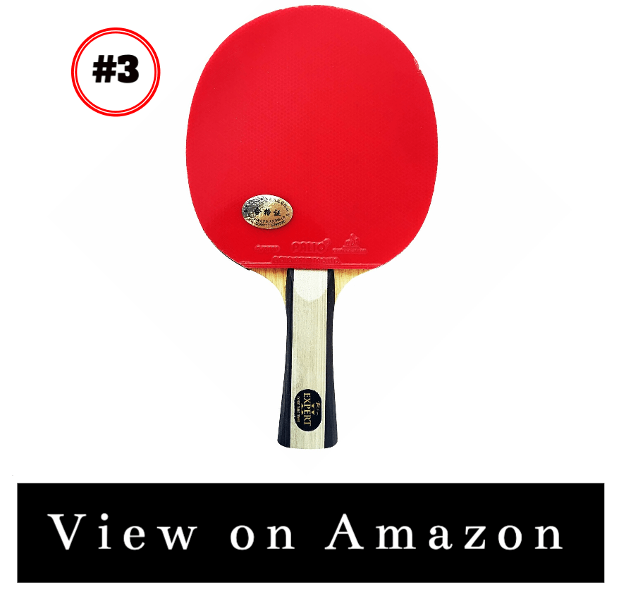 6 Best Ping Pong Paddles For Beginners {Honest Reviews}