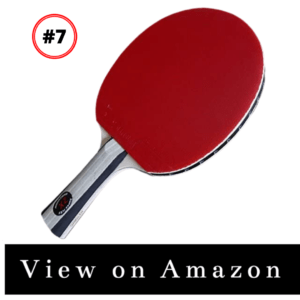 ping pong paddle under $50
