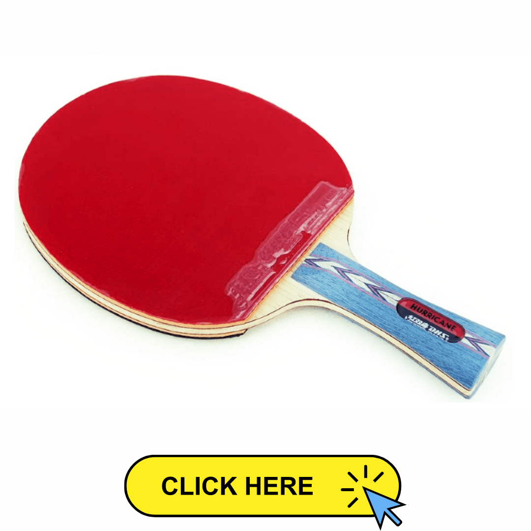 Top 5 Best Ping Pong Paddle For Spin - ITTF APPROVED PADDLES