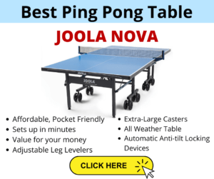 Best Ping Pong Table